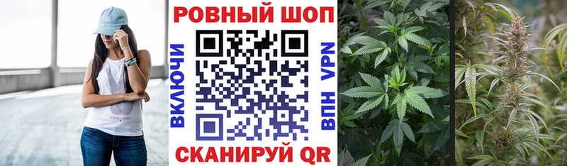 Купить наркоту Миньяр Канабис Метамфетамин Псилоцибиновые грибы ТГК KRAKEN Alpha PVP Меф Гашиш