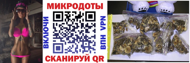 что такое   Миньяр  Галлюциногенные грибы GOLDEN TEACHER 